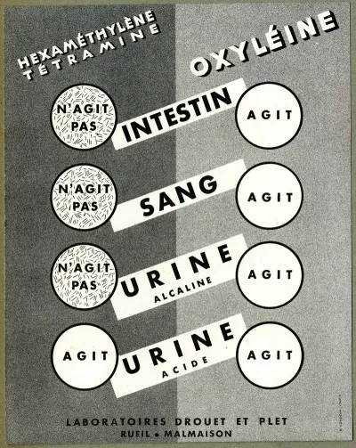 Oxyleine 2