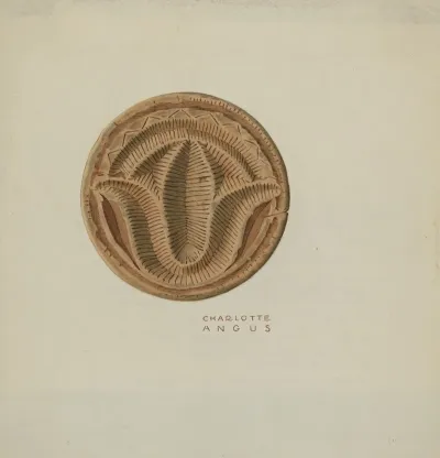 Pa German Butter Mold 24