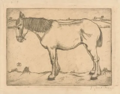Paard 2