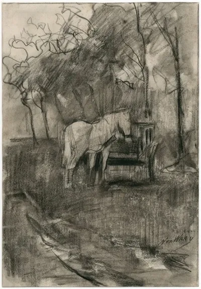 Paard In Een Wei