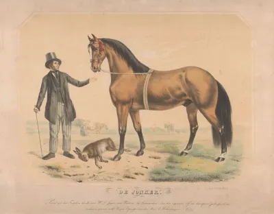 Paard Van W L De Jager Uit Wartena De Jonker
