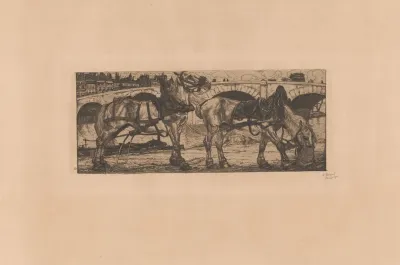 Paarden Aan De Seine In Parijs