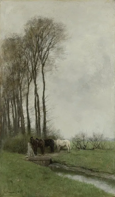 Paarden Bij Het Hek