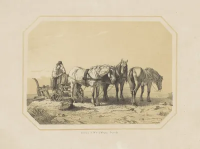Paarden Voor Een Ploeg