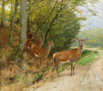 Pack Of Red Deer Crossing A Track