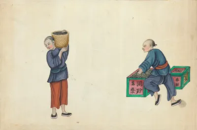 Packing Tea