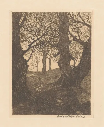 Pad Door Een Bos Met Kale Bomen