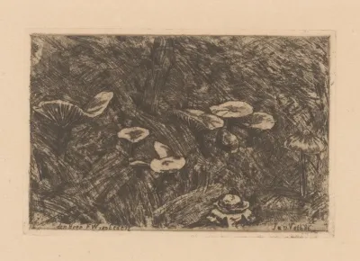 Paddenstoelen 3