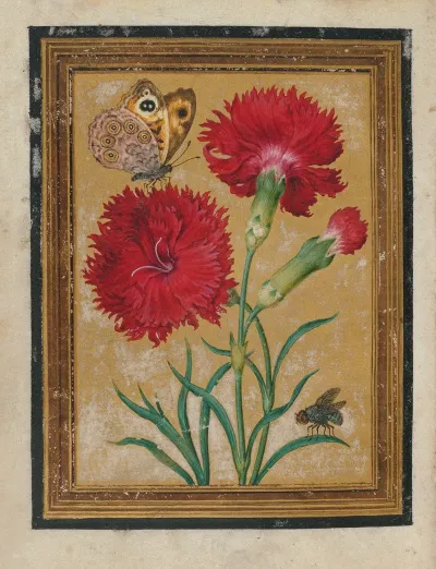 Paintings Of Flowers Butterflies And Insects Pl 4