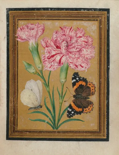 Paintings Of Flowers Butterflies And Insects Pl 5