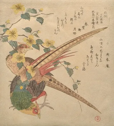 Pair Of Chinese Pheasants And A Branch Of Yamabuki Flowers