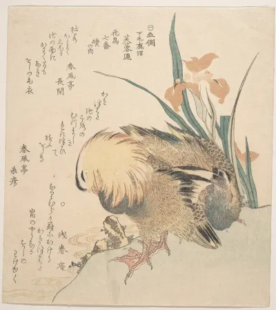 Pair Of Mandarin Ducks And Iris Flowers 2