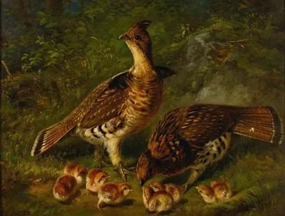 Pair Ruffed Grouse And Young