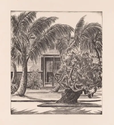Palm And Banyan Trees Before Us Military Building During World War Ii
