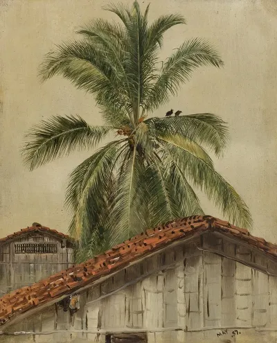 Palm Trees And Housetops Ecuador