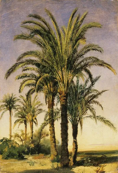 Palm Trees