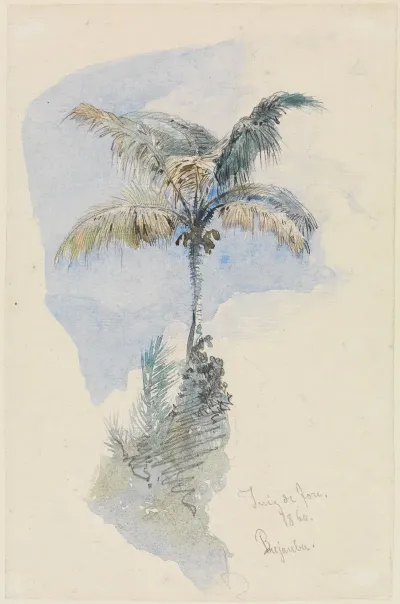 Palmenstudie 2