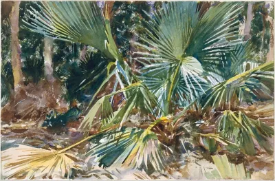 Palmettos