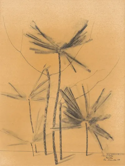 Palms 2