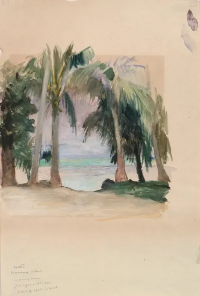 Palms By The Sea