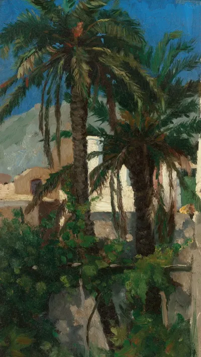 Palms Capri