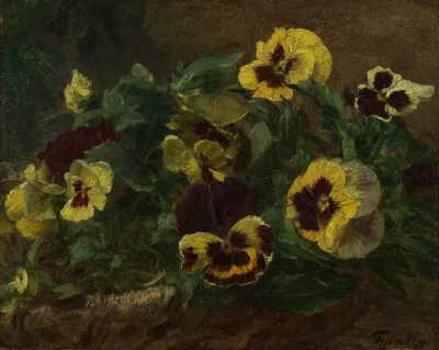 Pansies 5
