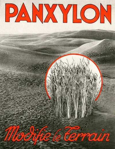 Panxylon 5
