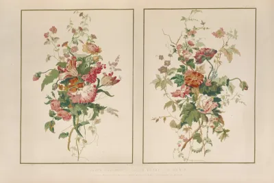 Paper Hangings By Mader Freres Of Paris