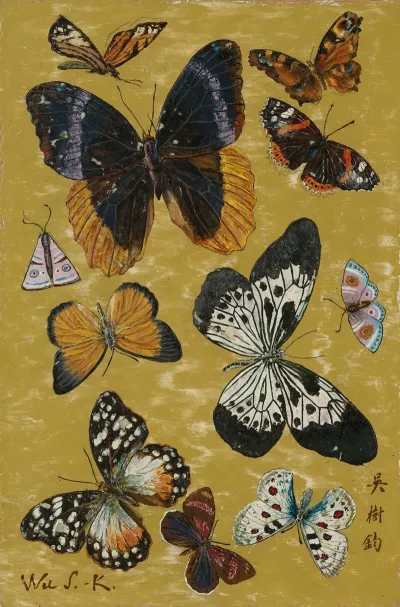 Papillons 4