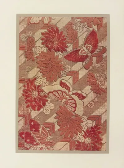 Papillons Et Chrysanthemes