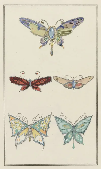 Papillons Naturels Montes