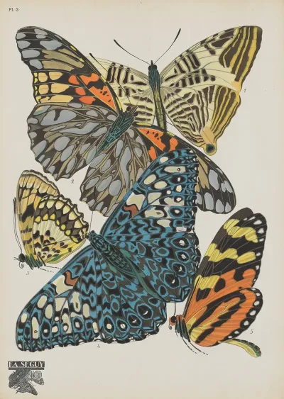Papillons Pl 03