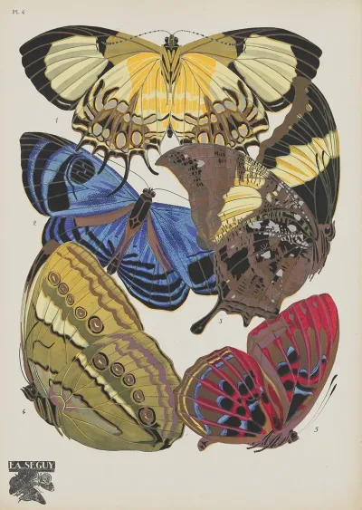 Papillons Pl 04