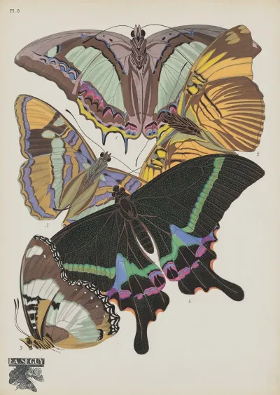 Papillons Pl 08