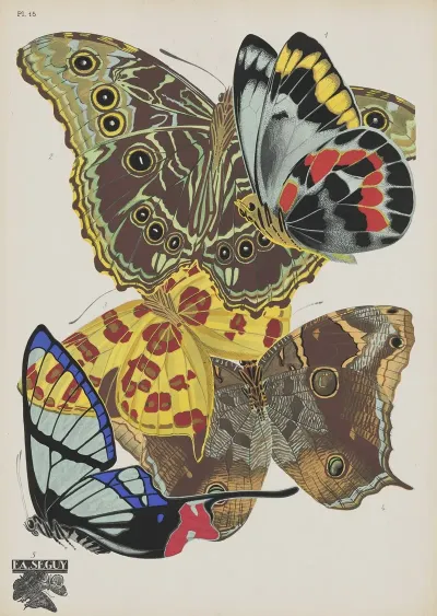 Papillons Pl 15 2