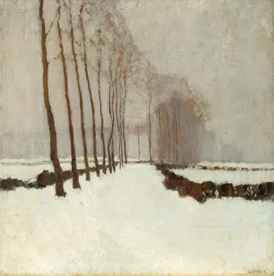 Pappeln Im Winter