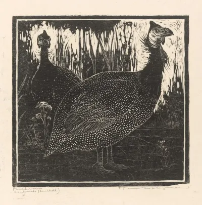 Parelhoenders