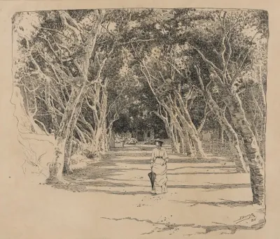 Park In Barbados