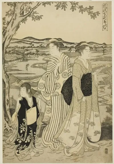 Parrot Komachi From The Series The Fashionable Seven Komachi Furyu Nana Komachi