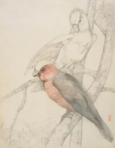 Parrots 2