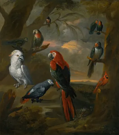 Parrots In An Extensive Woodland Landscape