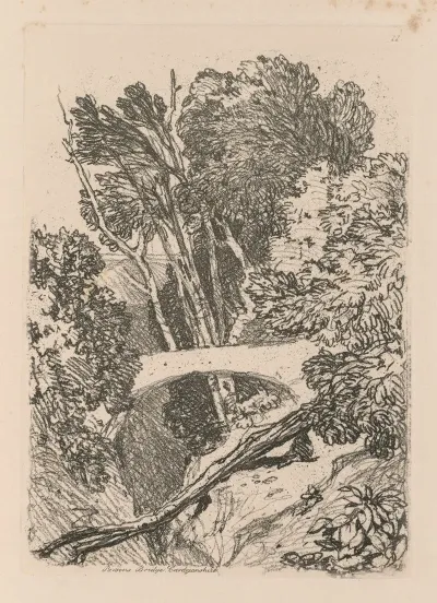Parsons Bridge Cardingshire