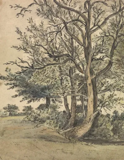 Part Of Regents Park