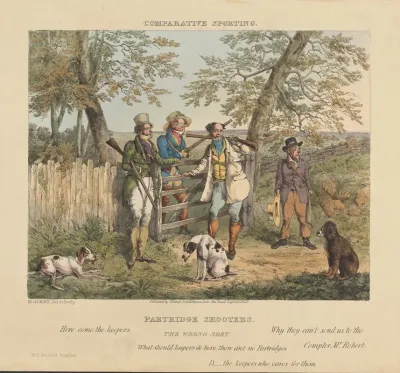 Partridge Shooters 2