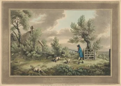 Partridge Shooting 4