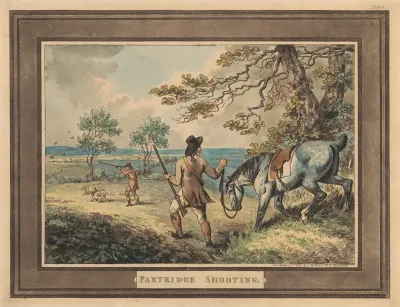 Partridge Shooting 5