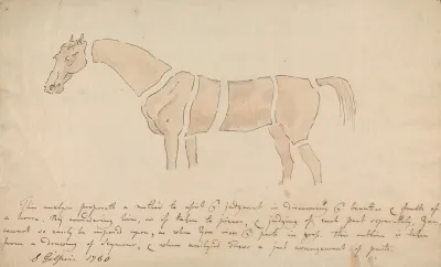 Parts Of The Properly Proportioned Horse