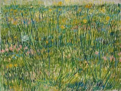 Patch Of Grass