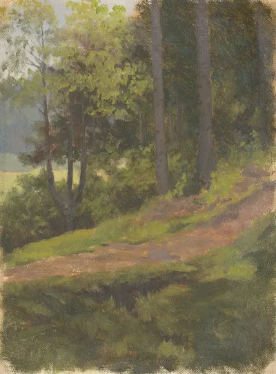 Path On The Edge Of The Forest