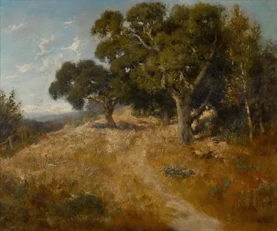 Path Through California Oaks